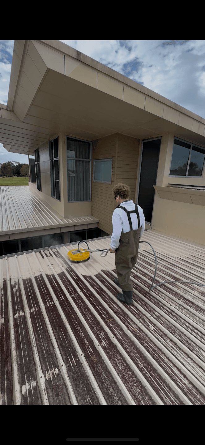 Roof and Solar Cleaning